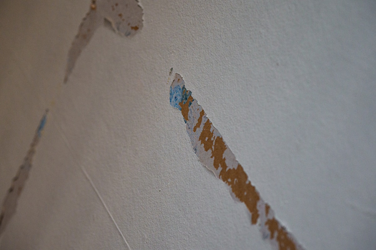 Basement Water Removal service in Hagerstown, MD